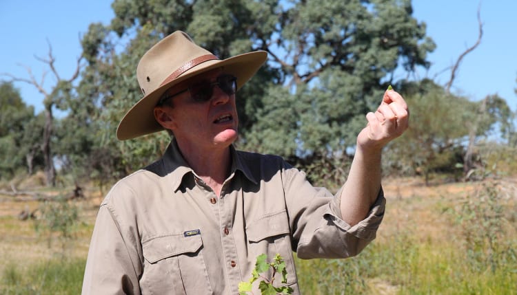 Dr Peter Cale Ecosystems of the Murray River & Mallee Principal Investigator