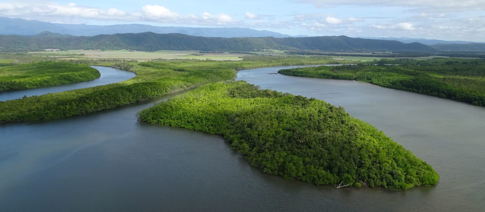 Tidal Wetlands Program