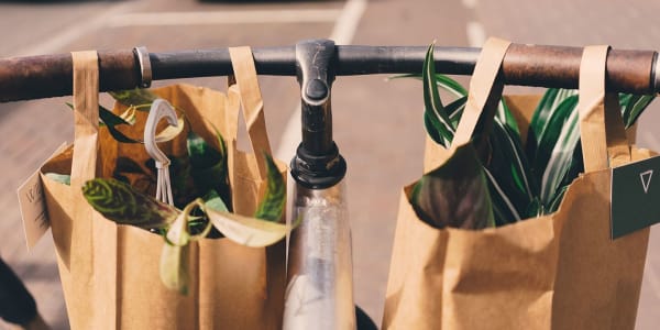 Shopping Habits