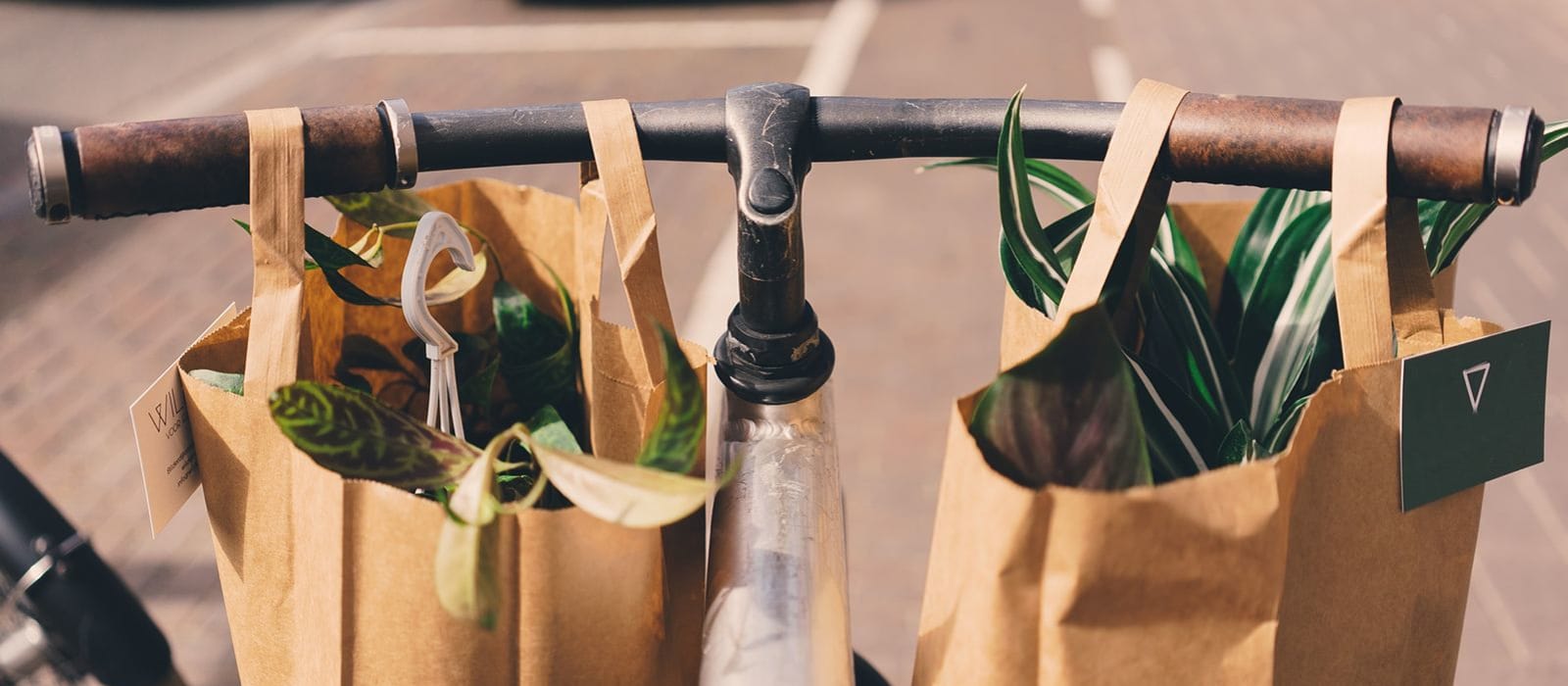 Shopping Habits
