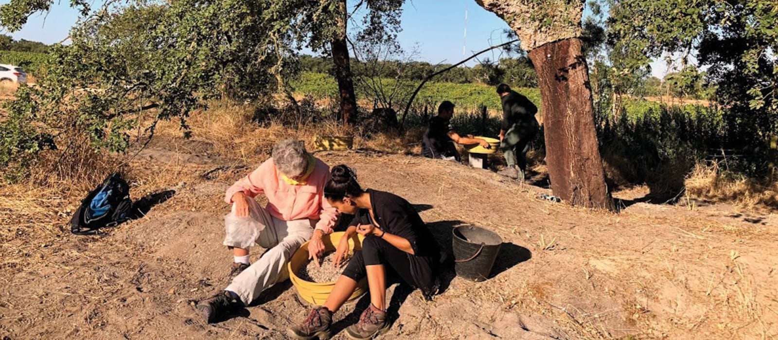 Discovering Ancient Societies in Portugal