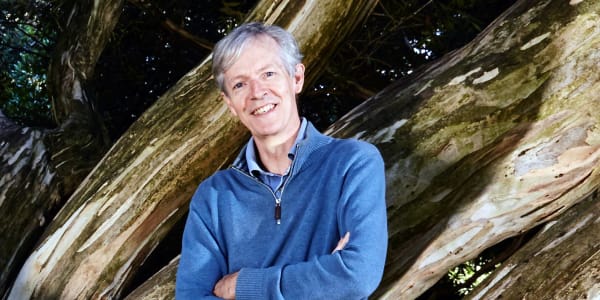 Professor Ian Woodrow