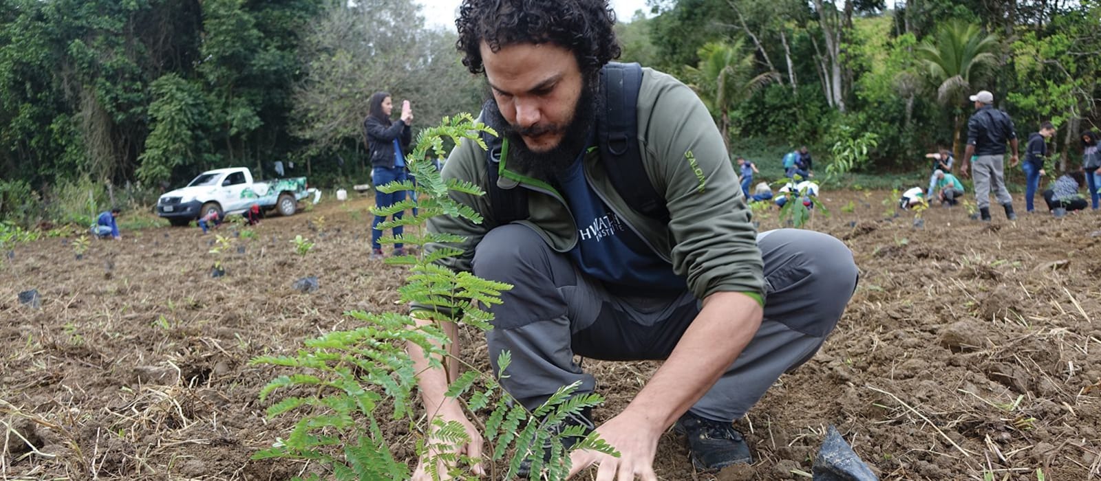Wildlife and Reforestation in Brazil