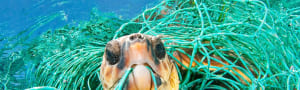Plastic Pollution Solutions