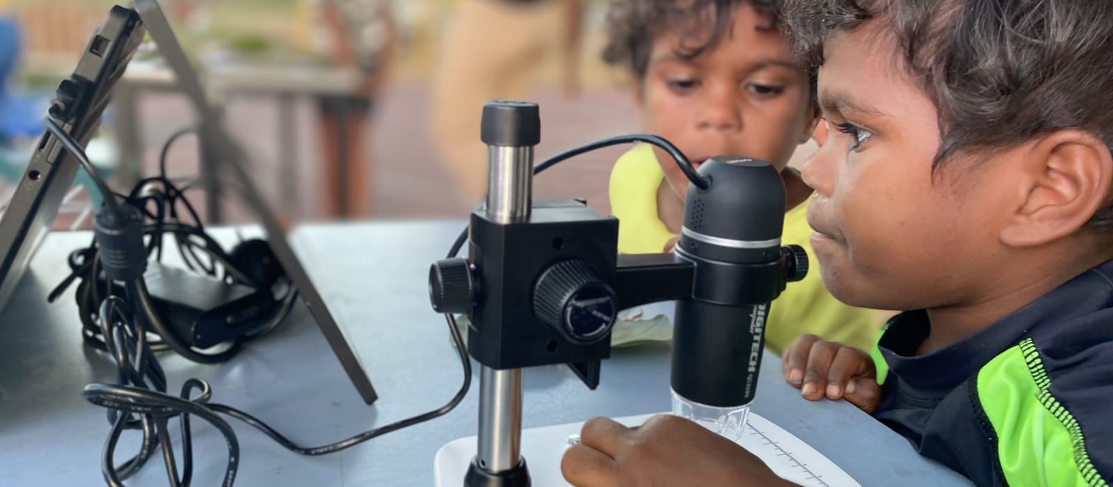 Rangers and scientists of the future!