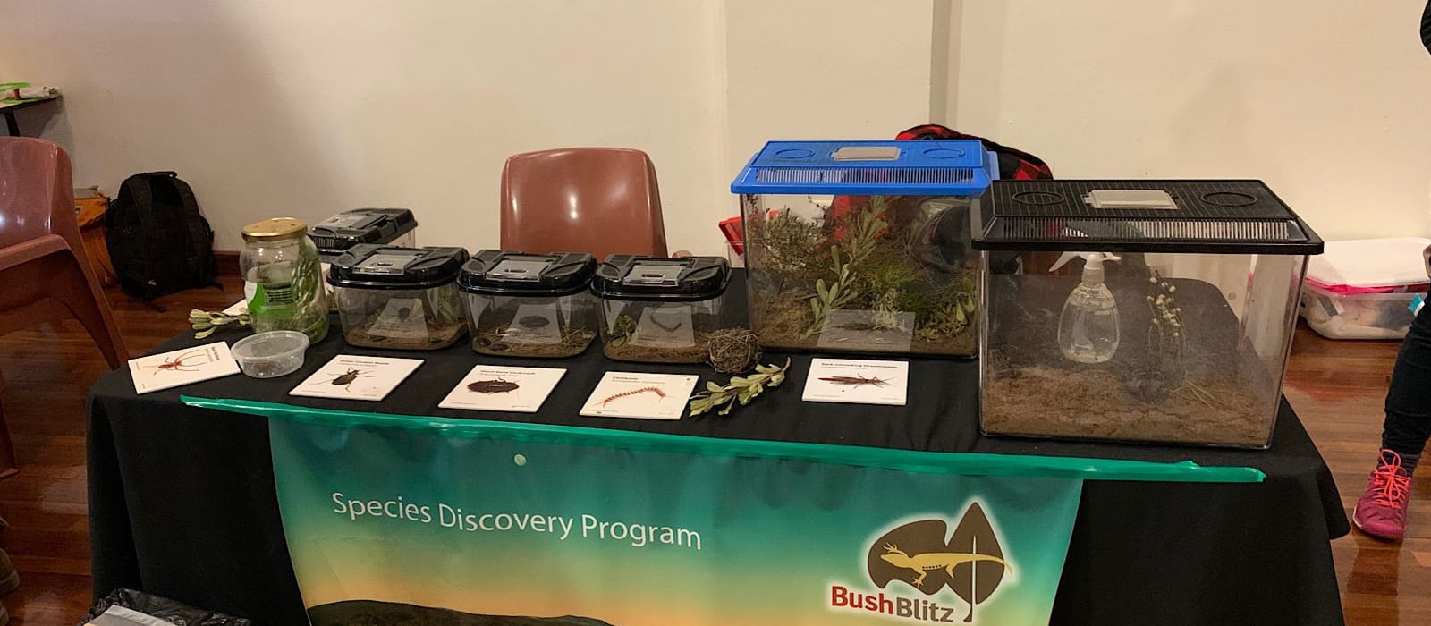 Discovering the community of Nhill