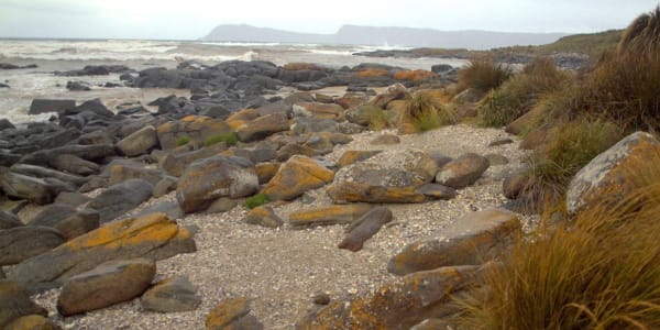 Off to Bruny Island