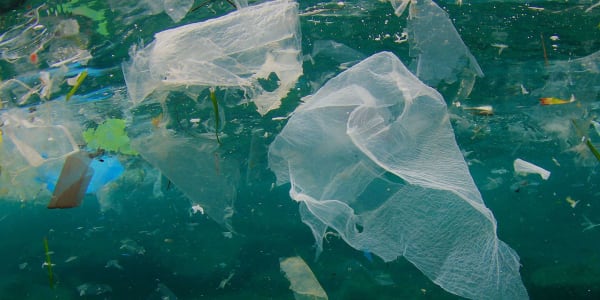 Turning the Tide on Plastic Pollution in Bali