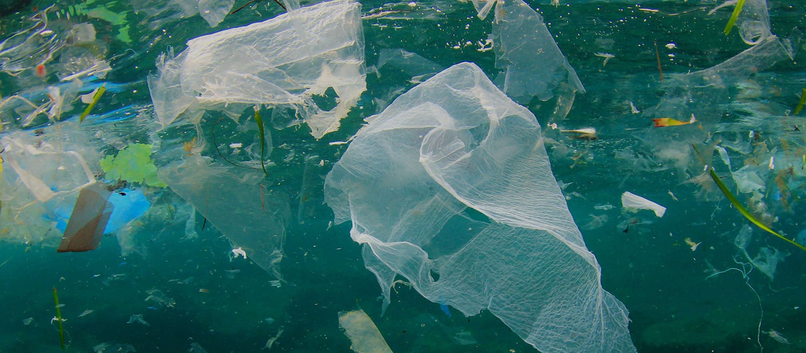 Turning the Tide on Plastic Pollution in Bali