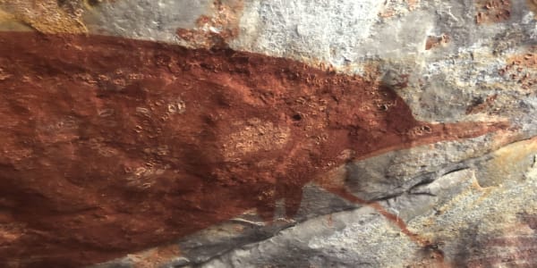 Ancient taxonomic record - Groote Eylandt