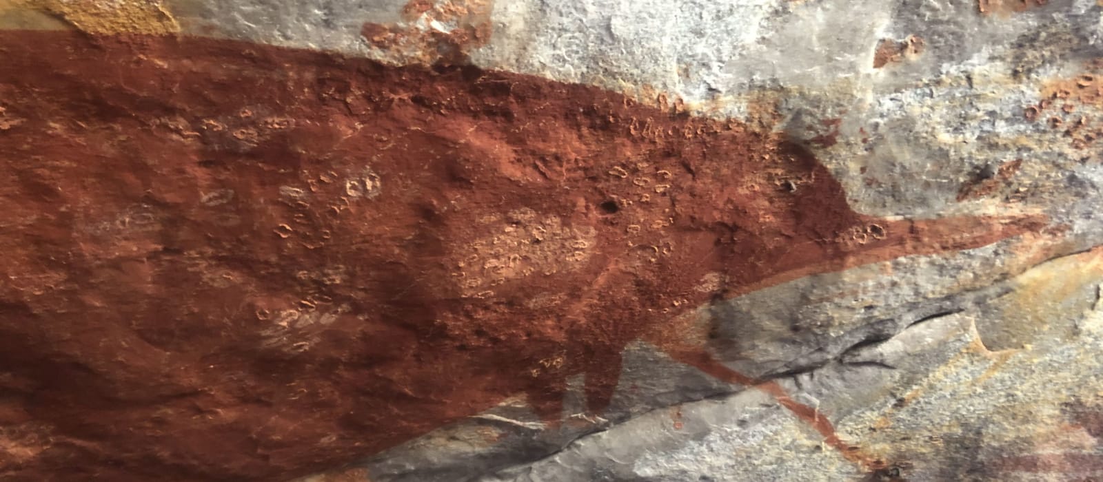 Ancient taxonomic record - Groote Eylandt