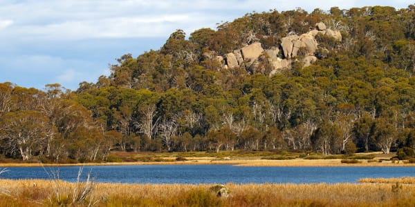 New Mount Buffalo ClimateWatch trail