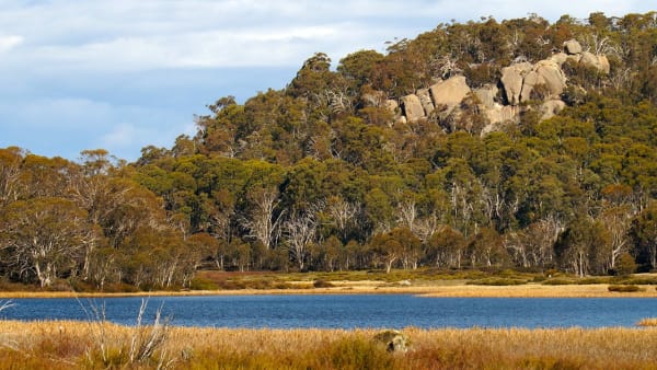 New Mount Buffalo ClimateWatch trail