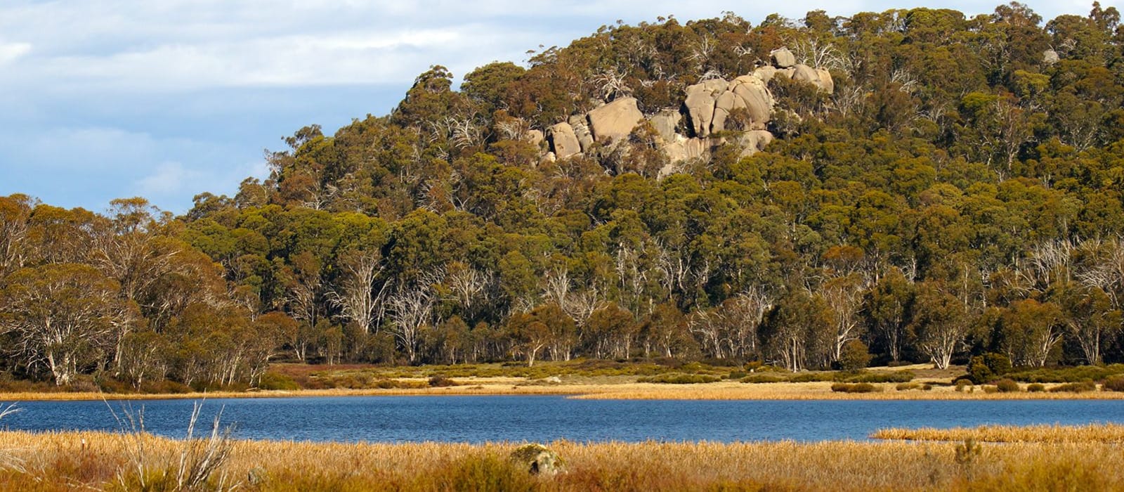 New Mount Buffalo ClimateWatch trail