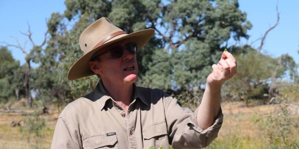Dr Peter Cale