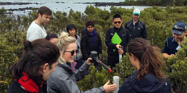 Blue Carbon program receives Higher Education Award