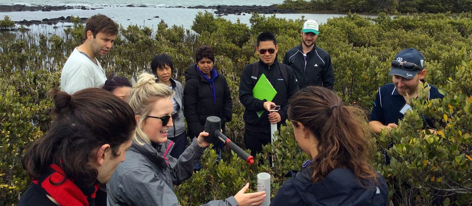 Blue Carbon program receives Higher Education Award