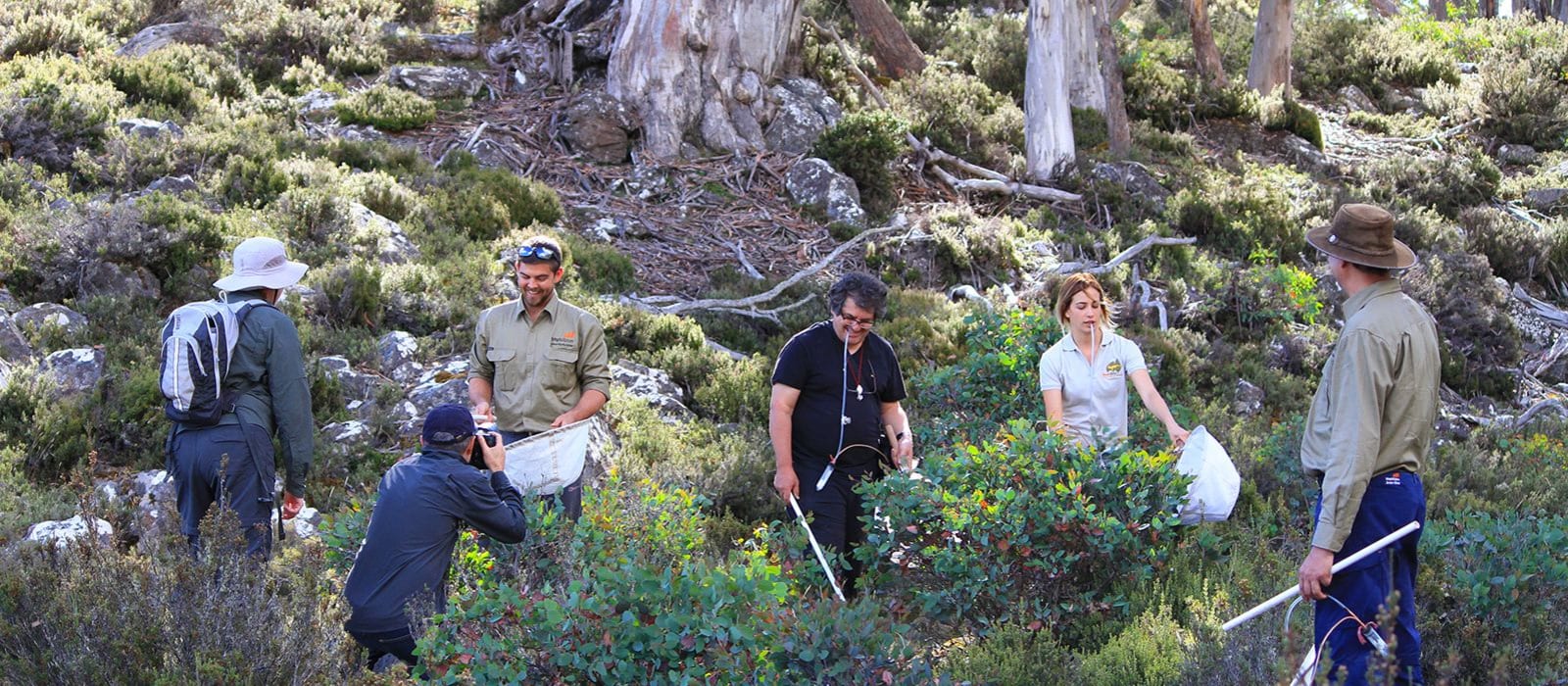 TeachLive Expeditions