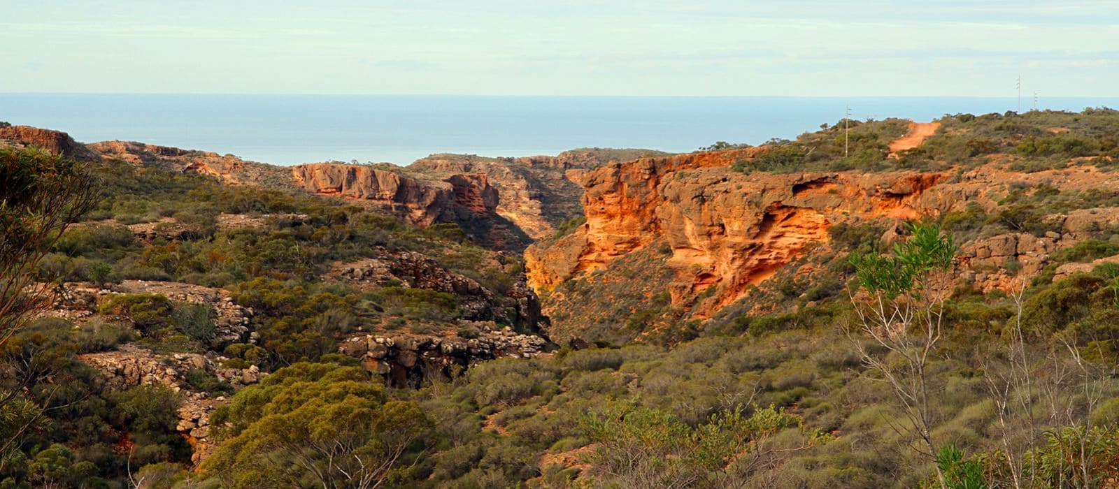 Bush Blitz Cape Range National Park 2019