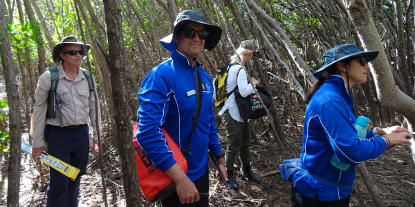 Understanding Queensland’s Blue Carbon Resource