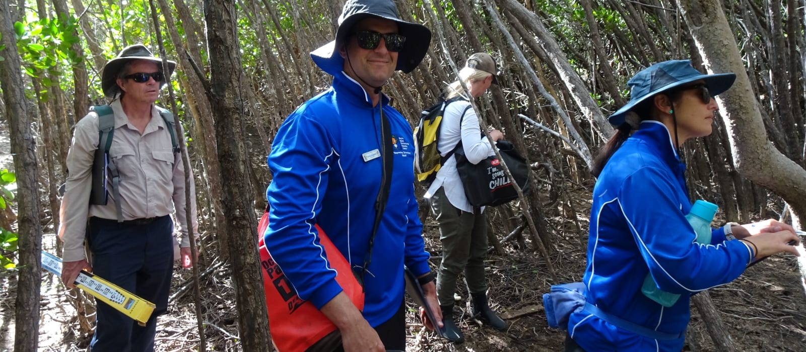 Understanding Queensland’s Blue Carbon Resource