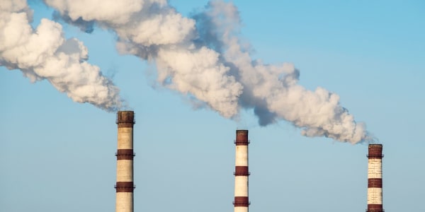 Energy Use