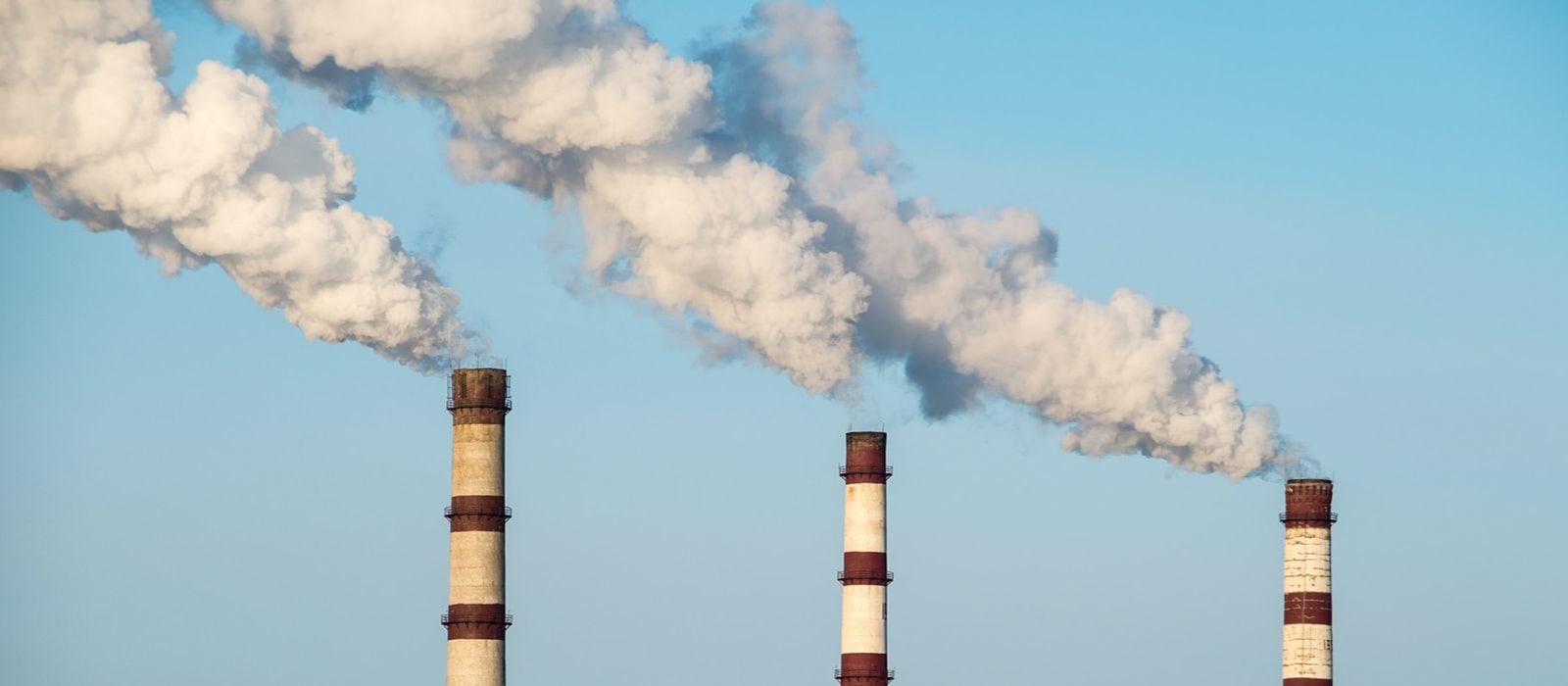 Energy Use