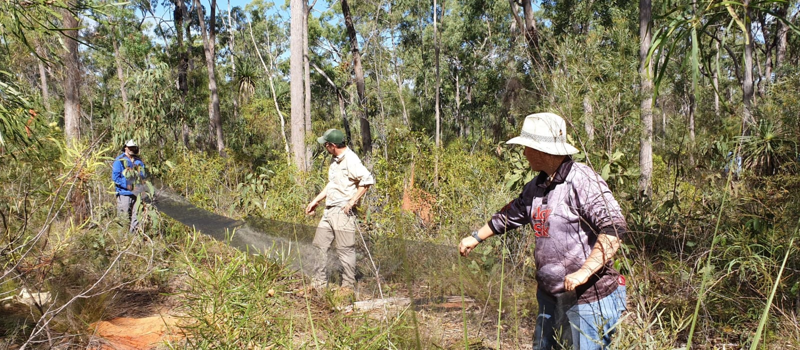 Species discovery on Groote Eylandt: Teachers, Rangers, Researchers