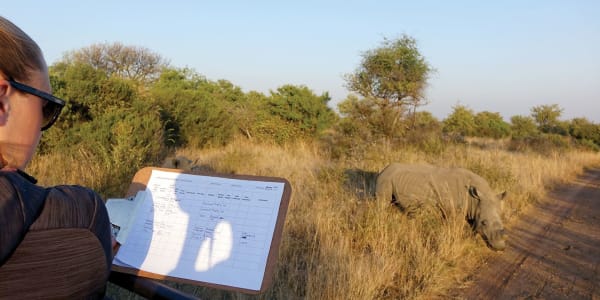 Conserving Endangered Rhinos in South Africa