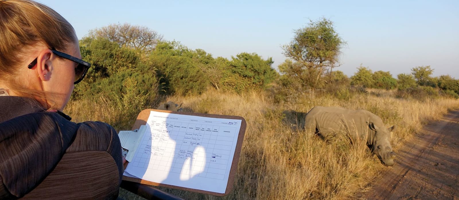 Conserving Endangered Rhinos in South Africa