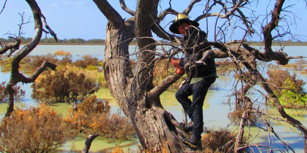 Restore our Iconic Landscapes