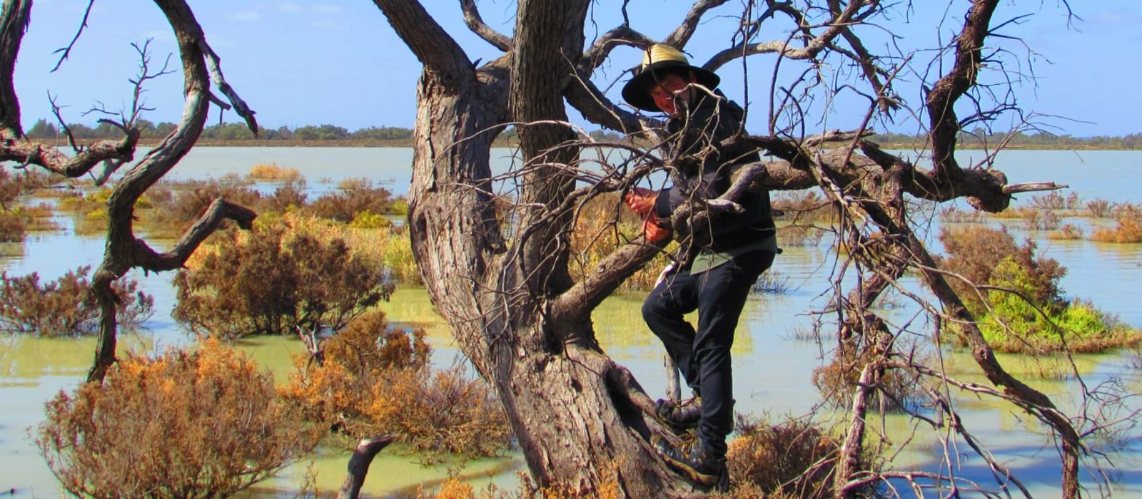 Restore our Iconic Landscapes