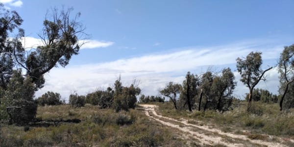 Big day out in the Little Desert