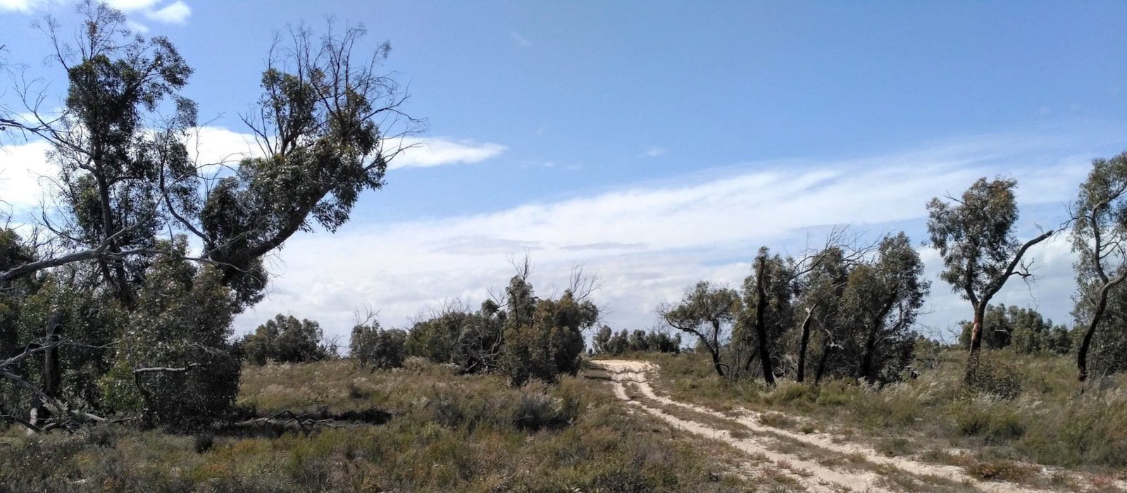 Big day out in the Little Desert