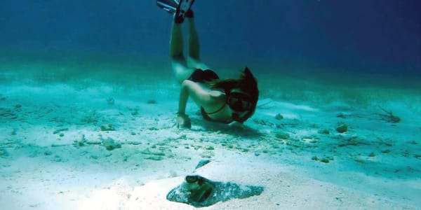 Shark and Ray Conservation in Belize