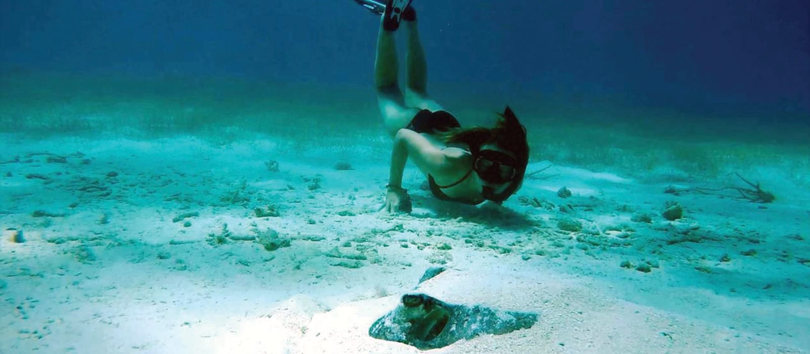 Shark and Ray Conservation in Belize