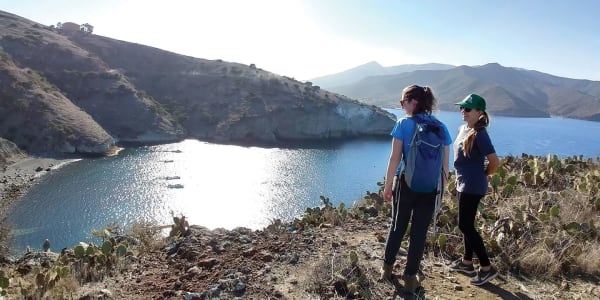 Conserving Marine Life Along Catalina's Coast