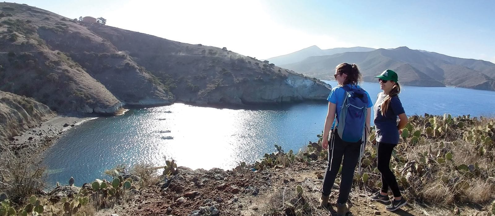 Conserving Marine Life Along Catalina's Coast