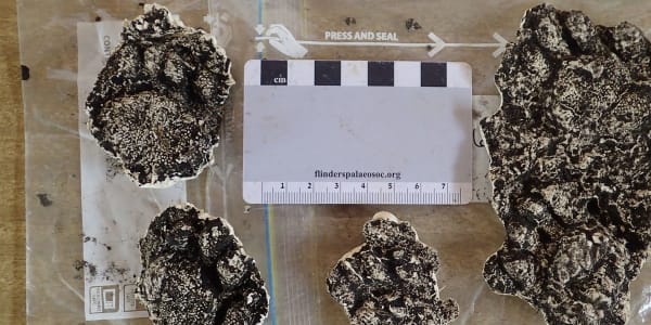 Devil tracks and 3D scanning