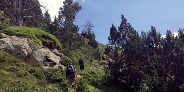 Wildlife in the Changing Andorran Pyrenees