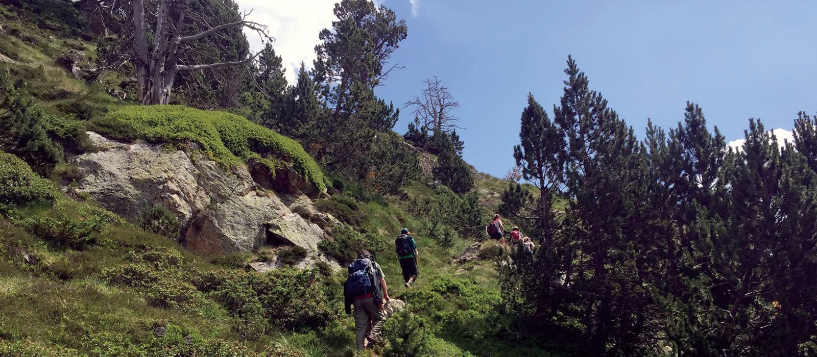 Wildlife in the Changing Andorran Pyrenees