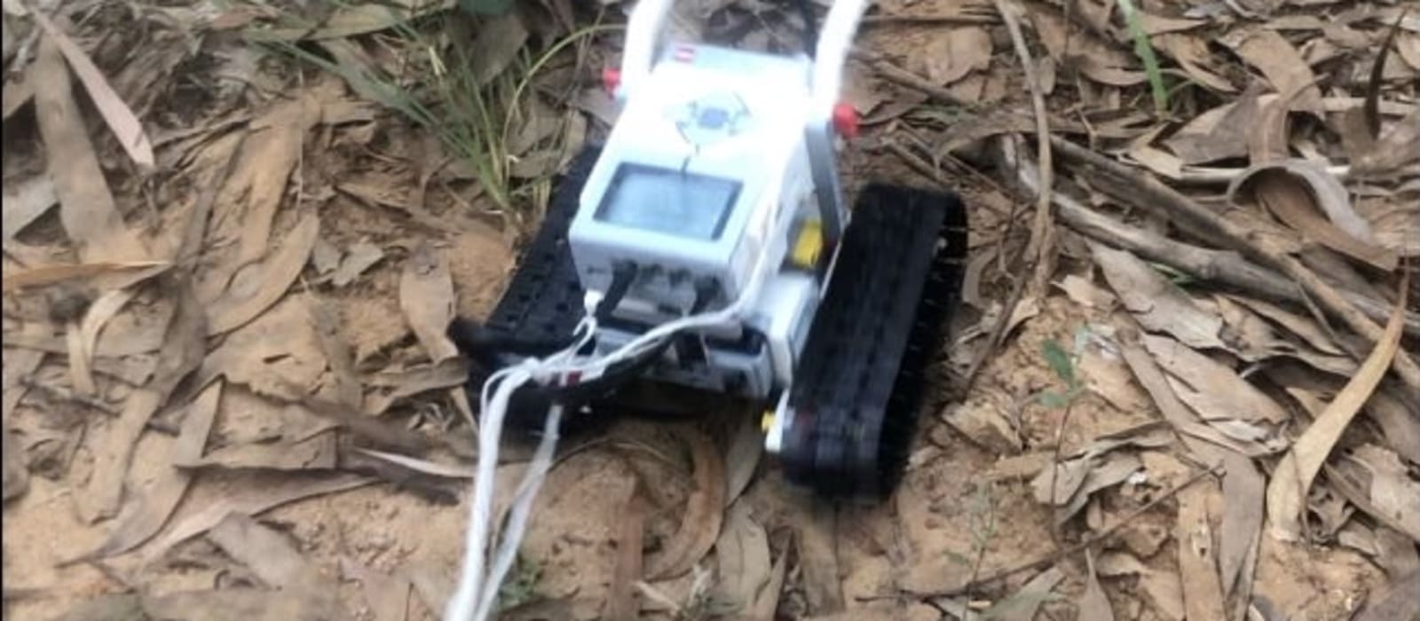 Robot botanist?