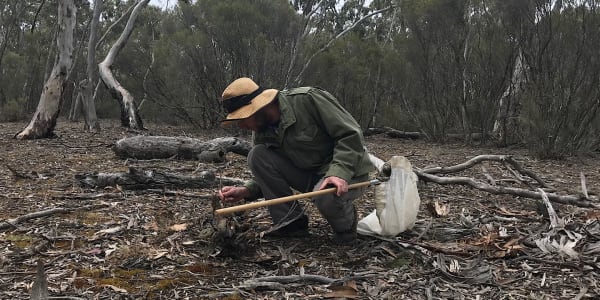 Science extension at Nhill