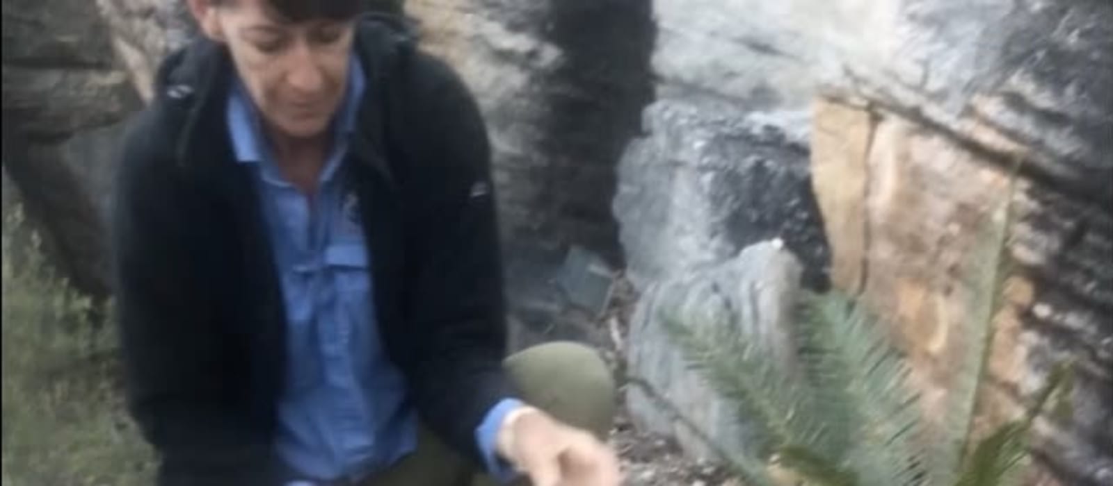 Catch and release